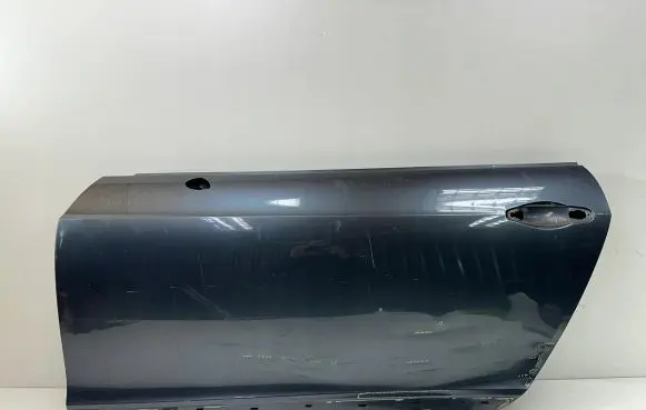 Bentley Continental Front door