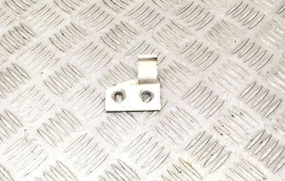Citroen Berlingo Front door lower hinge 