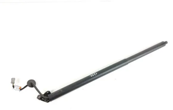 Ford Mustang Mach-E Tailgate strut LJ8BR402A55AB