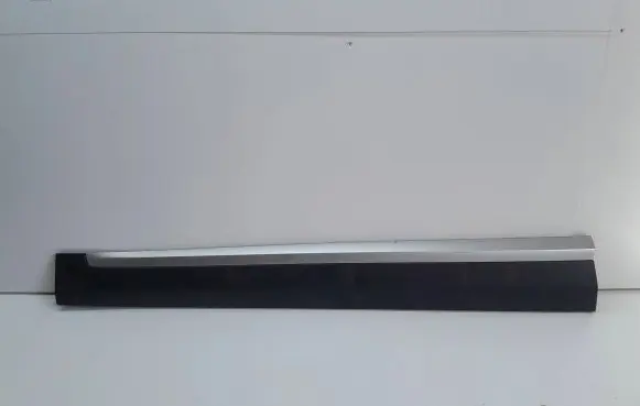 MG ZS Front door trim (molding) 10360762