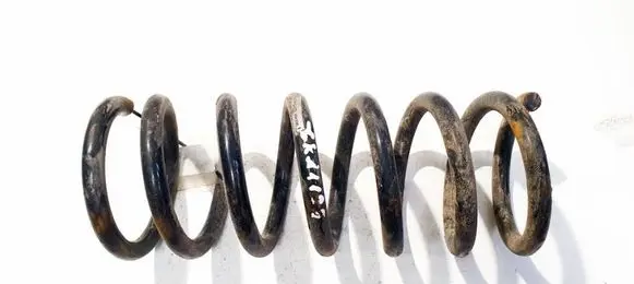 Opel Antara Rear coil spring 