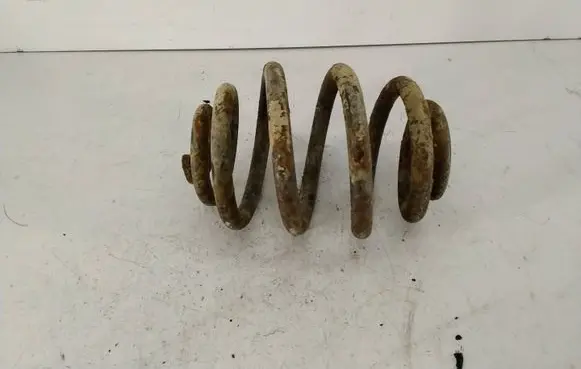 Rear coil spring