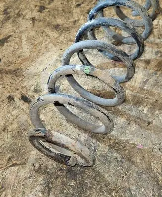Rear coil spring