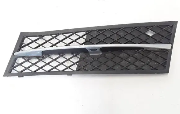 BMW 5 F10 F11 Front bumper lower grill 51117200699