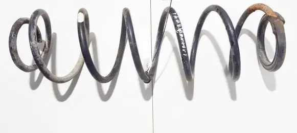 Renault Laguna II Rear coil spring