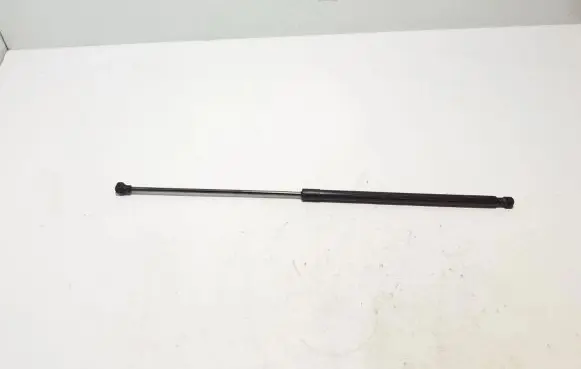 Front bonnet/hood damper/strut