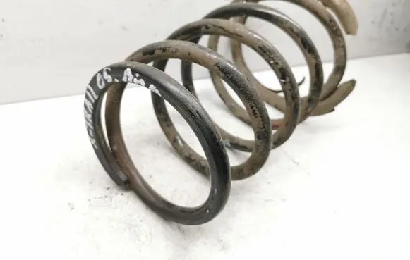 Rear coil spring