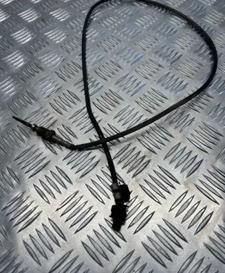 Exhaust gas temperature sensor