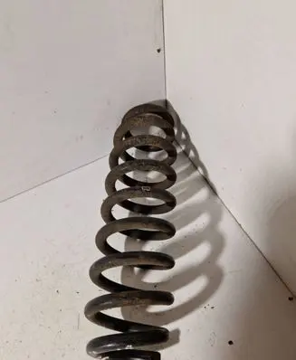 Rear coil spring