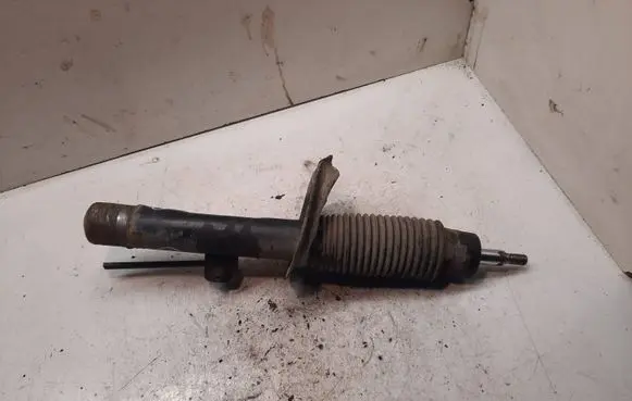 Peugeot Partner Front shock absorber/damper