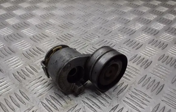 Renault Megane II Alternator belt tensioner pulley 905328