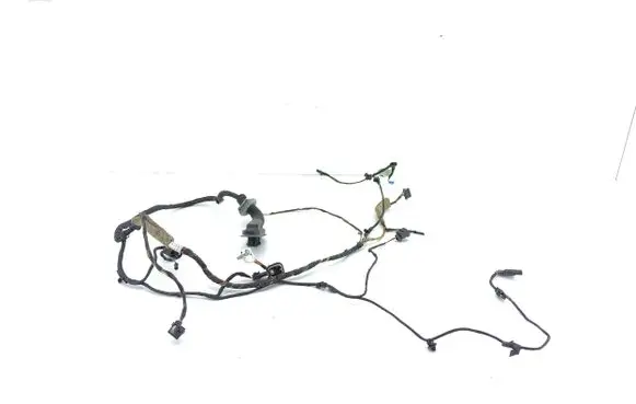 BMW 6 F06 Gran coupe Front door wiring loom 9255396 4827995