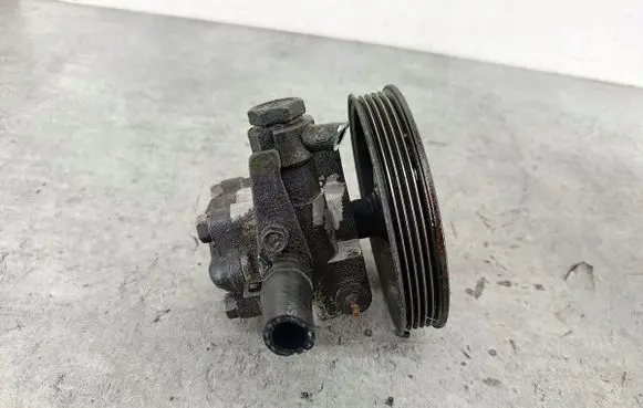 Hyundai Santa Fe Power steering pump