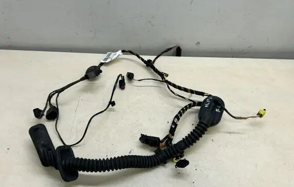 Porsche Cayenne (92A) Front door wiring loom 7P5971161GE