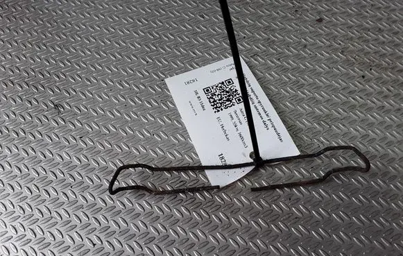 Front brake pad spring