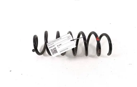 Rear coil spring
