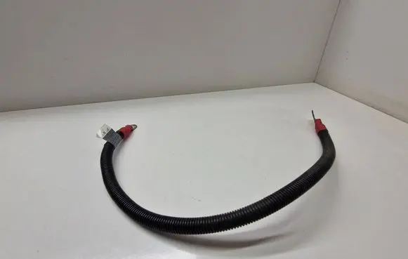 BMW X5 E53 Wires (starter motor) 7791352