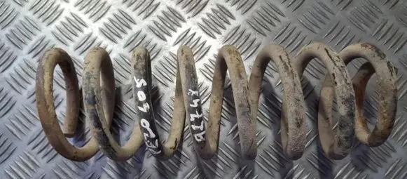 Rear coil spring