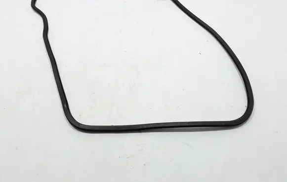 Chrysler Pacifica Rubber seal sliding door (on door) 68313523AB