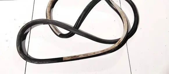 Volkswagen PASSAT B5.5 Rubber seal front coupe door 