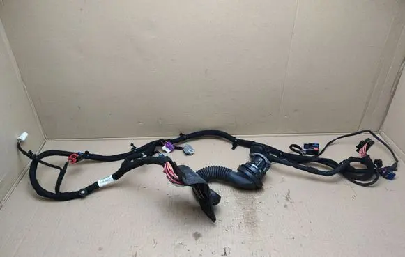 Rear door wiring loom