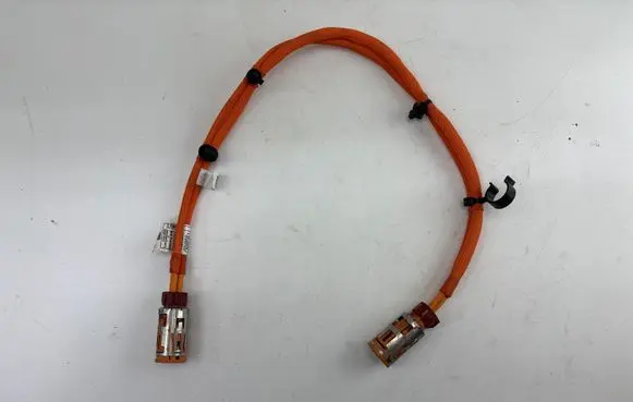 BMW iX1 Wiring harness 5A1CA71 E3Y07D