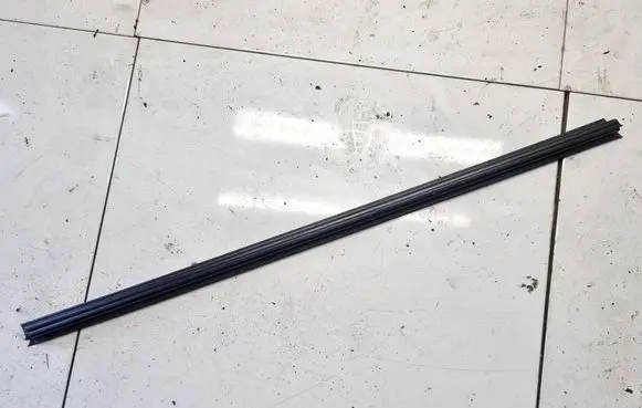 Volkswagen PASSAT B6 Front door glass trim molding 