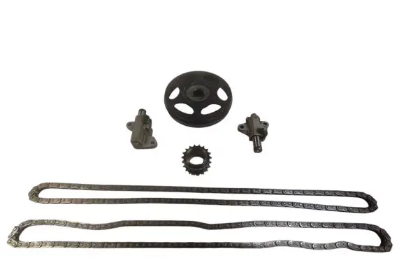 Subaru Forester SK Timing chain (engine) 