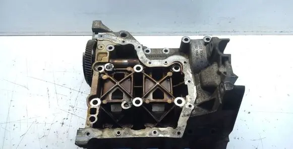 Skoda Fabia Mk2 (5J) Engine block 03D103166H