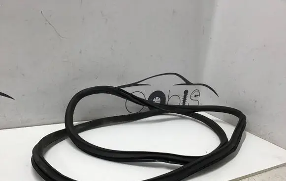 Rear door rubber seal (on body)