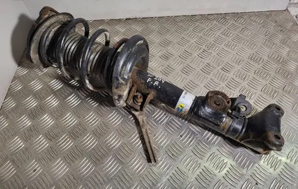 Mercedes-Benz C W204 Front shock absorber with coil spring 22196019