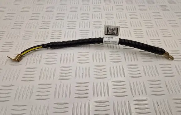 Renault Scenic E-Tech V Negative earth cable (battery) 283605MZ1D WSMAAA 020003