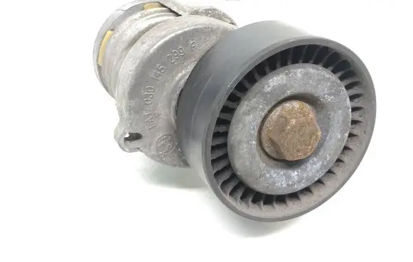 Volkswagen Cross Polo Generator/alternator belt tensioner 030145299A