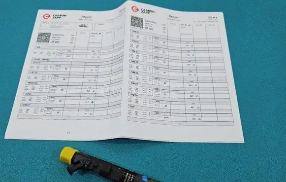 Renault Megane II Fuel injector EJBR01801A IMPRK1462803