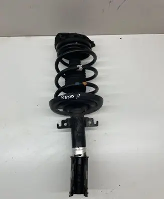 Renault Scenic III - Grand scenic III Front shock absorber with coil spring 543020017R 22225269 041722225269B0