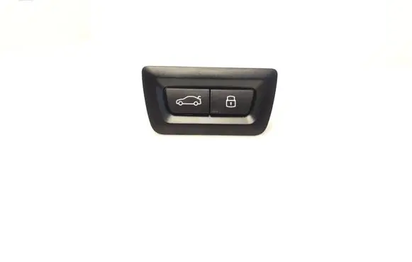 Tailgate opening switch