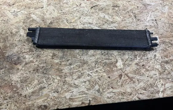 Renault Master III Coolant radiator T1077003