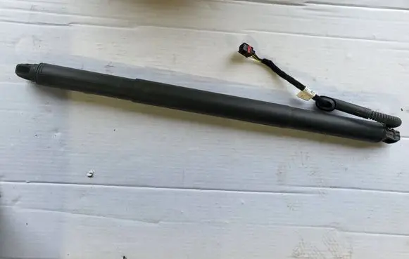 Tailgate strut