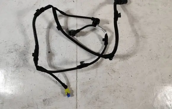 Other wiring loom