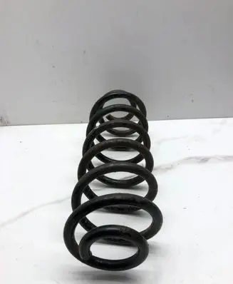 Volkswagen PASSAT B6 Rear coil spring