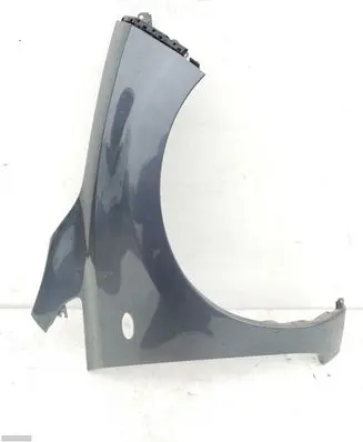 Nissan Leaf I (ZE0) Fender