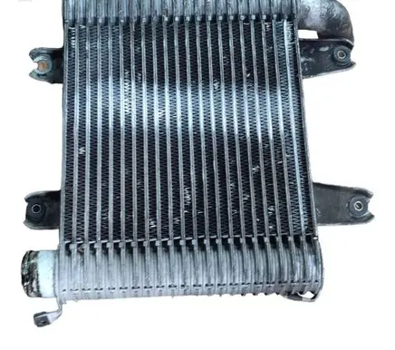 KIA Carnival Intercooler radiator 55313550