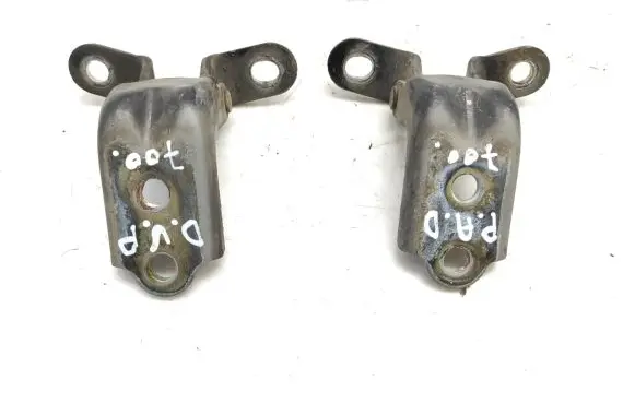 Hyundai Sonata Front door hinge set 