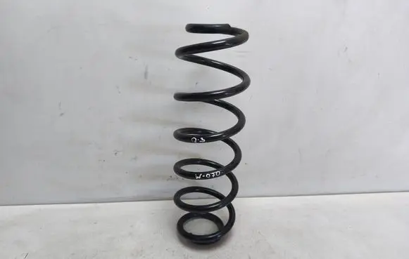 Rear coil spring