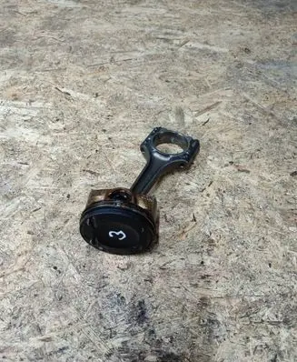 Piston with connecting rod