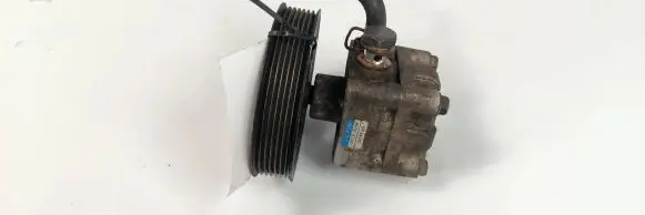 Suzuki Grand Vitara II Electric power steering pump 4910067J00
