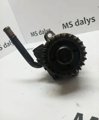 Volkswagen Multivan T5 Power steering pump 070145249