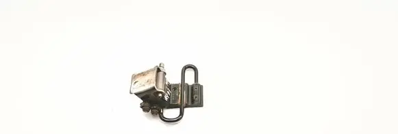 Rear door lower hinge