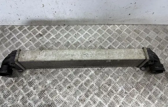 Mercedes-Benz A W169 Intercooler radiator A1695000000