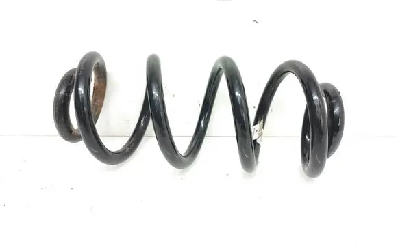 Rear coil spring